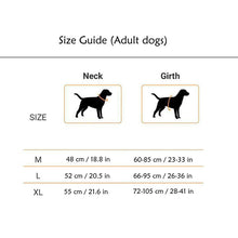 A+A Pets' Air Mesh Quick Dry Vest Style Harness for Dog - www.aplusapets.com