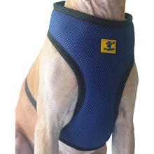 A+A Pets' Air Mesh Quick Dry Vest Style Harness for Dog - www.aplusapets.com