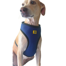 A+A Pets' Air Mesh Quick Dry Vest Style Harness for Dog