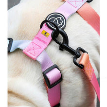 harness for dogs