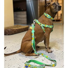 A+A Pets' Pirate Design Step In Harness - Green - www.aplusapets.com