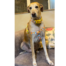 A+A Pets' Tetris Design Step In Harness - www.aplusapets.com