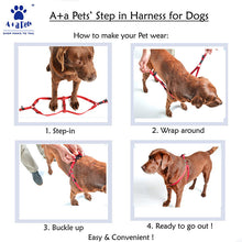 A+A Pets' Geometric Design Step In Harness - www.aplusapets.com