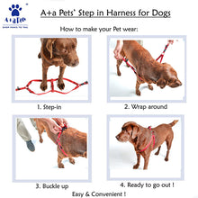 A+A Pets' Geometric Design Step In Harness
