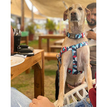 A+A Pets' Geometric Design Step In Harness - www.aplusapets.com