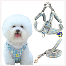 cat harness for kittens