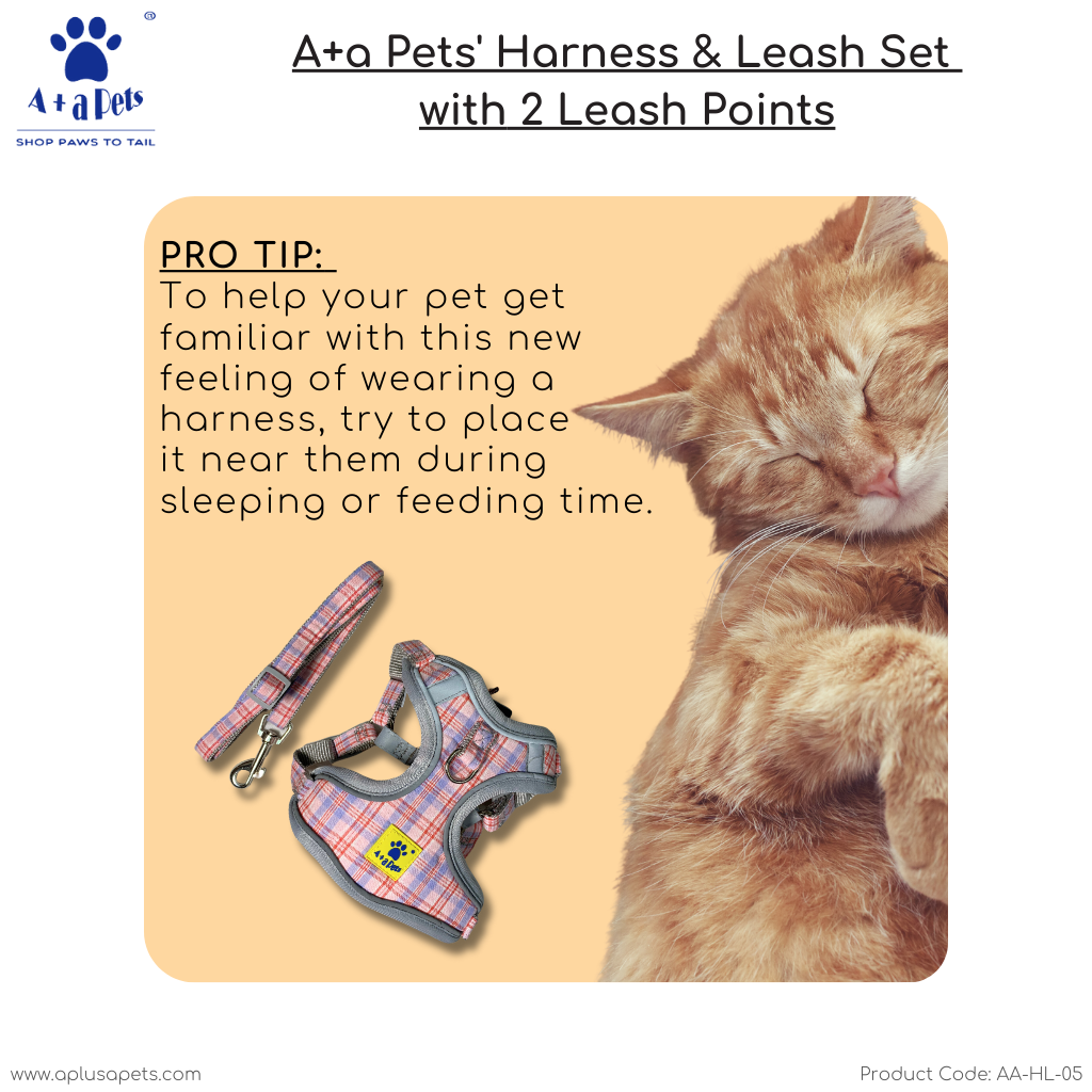 A+a Pets' Harness & Leash Set(Combo) for Cats, Puppies, Small Dogs with 2 Leash Points – Escape Friendly | Night Safety | Reflective Strips |100% Cotton