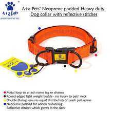 A+a Pets' Neoprene Padded Reflective Collar-Orange