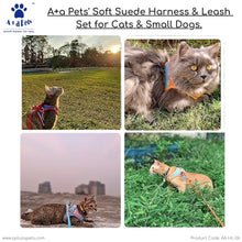 A+a Pets' Suede Harness & Leash Set for Cats & Small Dogs