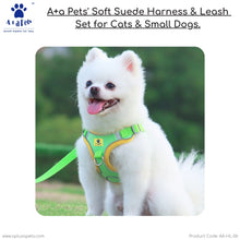 A+a Pets' Suede Harness & Leash Set for Cats & Small Dogs