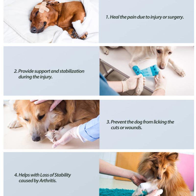 A+A Pets’ Hock Joint Protective Wrap for Dogs