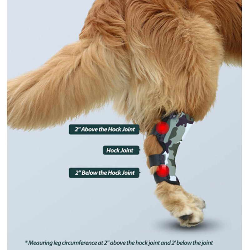 Buy Hock Joint Protective Leg Brace for Dog Leg Support for