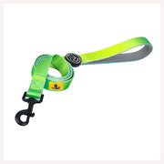 A+a Pets' Leash in Gradient Design - Green - www.aplusapets.com