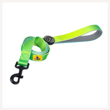 A+a Pets' Leash in Gradient Design - Green - www.aplusapets.com