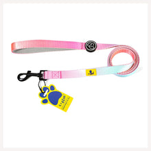 A+a Pets' Leash in Gradient Design - Pink - www.aplusapets.com
