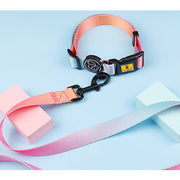 A+a Pets' Leash in Gradient Design - Pink - www.aplusapets.com