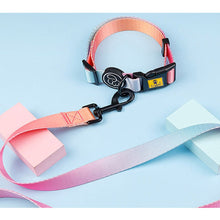 A+a Pets' Leash in Gradient Design - Pink