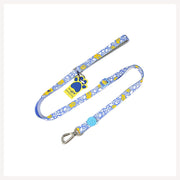 A+a Pets' Leash in Pirate Design - Blue - www.aplusapets.com