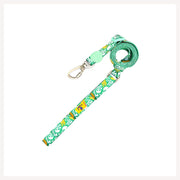 A+a Pets' Leash in Pirate Design - Green - www.aplusapets.com