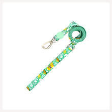 A+a Pets' Leash in Pirate Design - Green - www.aplusapets.com
