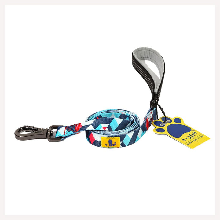 A+a Pets' Leash in Geometric Design - www.aplusapets.com