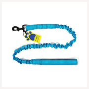 A+a Pets' Heavy Duty Bungee Leash - Blue - www.aplusapets.com