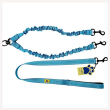 3in1 Multi Purpose Bungee Leash to walk 2 Dogs- Blue