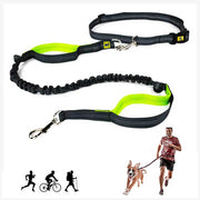 A+a Pets’ 2in1 Bungee Hands-Free Leash - www.aplusapets.com