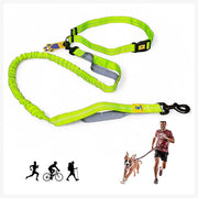 A+a Pets’ 2in1 Bungee Hands-Free Leash - www.aplusapets.com