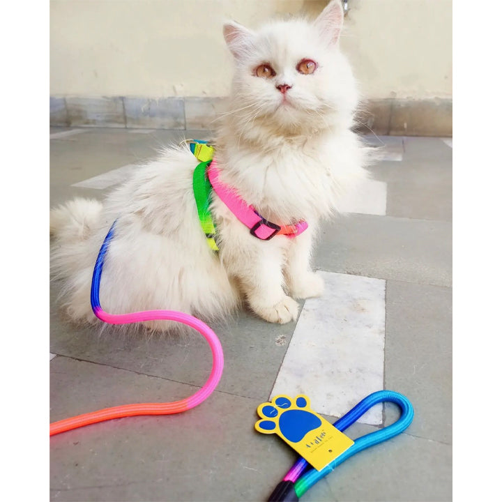 A+A Pets' Rainbow Harness And Leash For Dogs & Cats