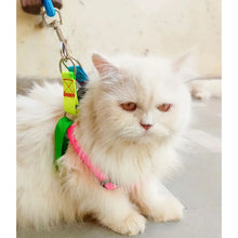 A+A Pets' Rainbow Harness And Leash For Dogs & Cats - www.aplusapets.com