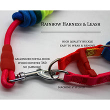 A+A Pets' Rainbow Harness And Leash For Dogs & Cats