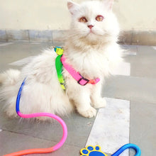 A+A Pets' Rainbow Harness And Leash For Dogs & Cats - www.aplusapets.com