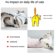 cat surgical recovery suit