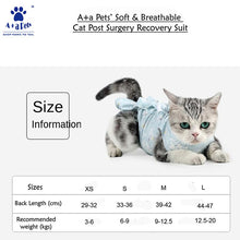 cat surgery suit size