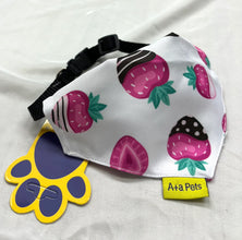 A+a Pets' 2in1 Scarf Collar Bandana for Dogs & Cats - Fruit Collection