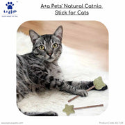 cat play toys