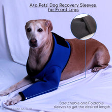 cover dog wound by dog recover sleeves for front legs