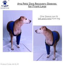 dog recovery alternate to elizabeth collar or e collar
