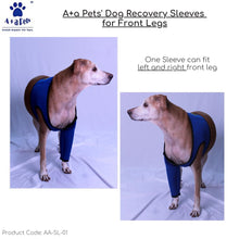 A+a Pets' Dog Recovery Sleeves for Front Legs