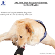 A+a Pets' Dog Recovery Sleeves for Front Legs