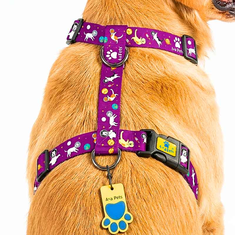 Dog wearing a purple harness with colorful designs and a blue paw tag on a white background
