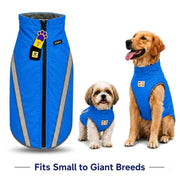 Blue dog vests on small and large dogs with text indicating size range.