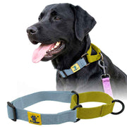 A+a Pets’ Martingale Collar for Dogs - Blue Cotton Collection - www.aplusapets.com