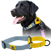A+a Pets’ Martingale Collar for Dogs - Blue Cotton Collection - www.aplusapets.com
