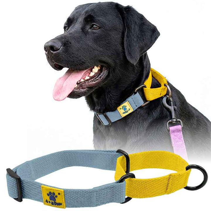 A+a Pets’ Martingale Collar for Dogs - Blue Cotton Collection - www.aplusapets.com