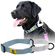 A+a Pets’ Martingale Collar for Dogs - Blue Cotton Collection - www.aplusapets.com
