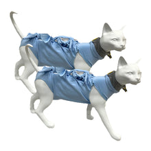 A+a Pets' Post Surgery Recovery Clothing for Cats