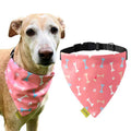 A+a Pets' 2in1 Scarf Collar Bandana for Dogs & Cats - Bones Collection - www.aplusapets.com