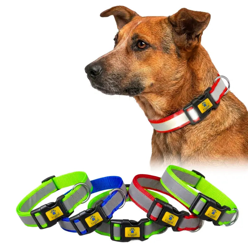 Reflective dog collar set of 5 night safety neck belts for Indie and street dogs India